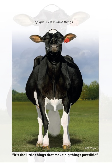 Vrouwelijke embryos