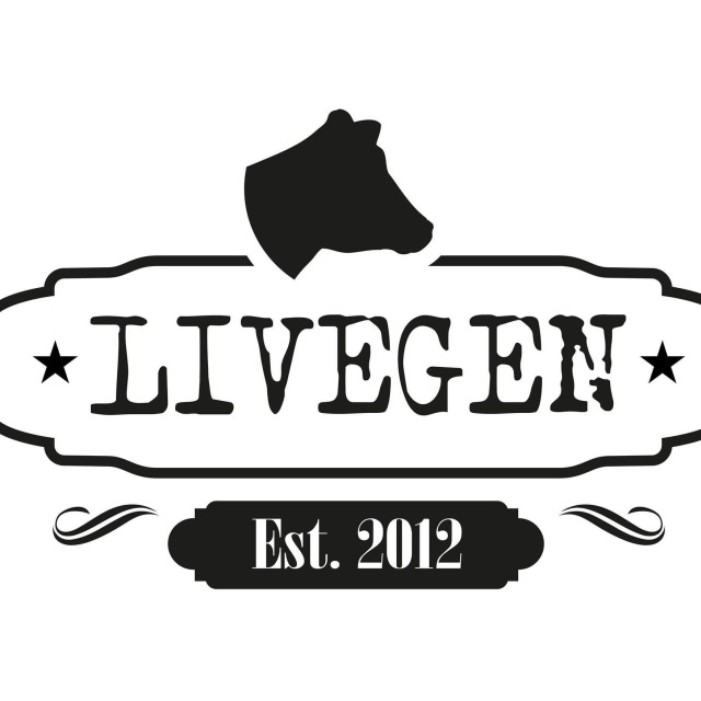 Zeer beste hoogdrachtige VLOG vaarzen