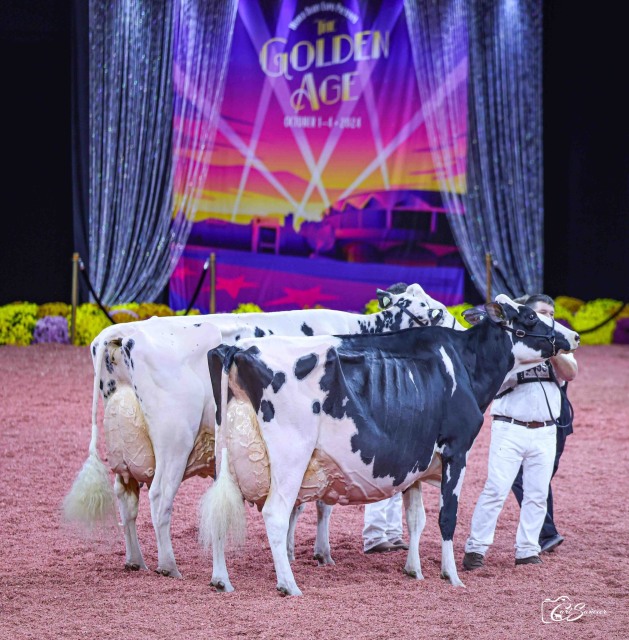Vrouwelijke embryos