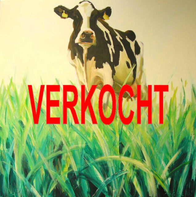 Langdrachtige Mon. koeien