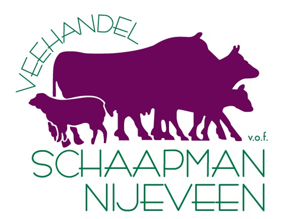 HF en FLV vaarzen