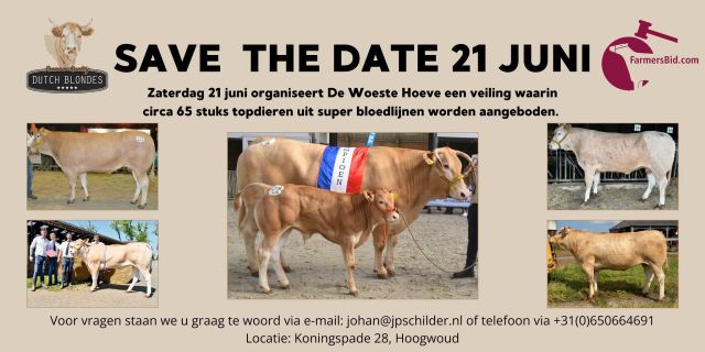 Dutch Blondes organiseert een topveiling
