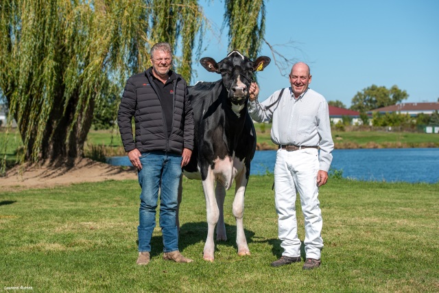 Vrouwelijke embryos
