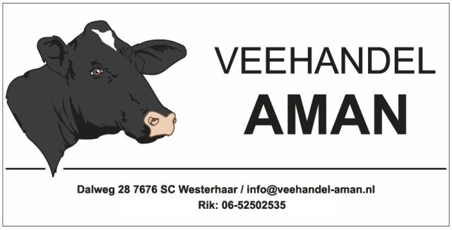 Hoogdrachtige Jersey Vaars