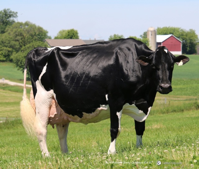 Vrouwelijke embryos