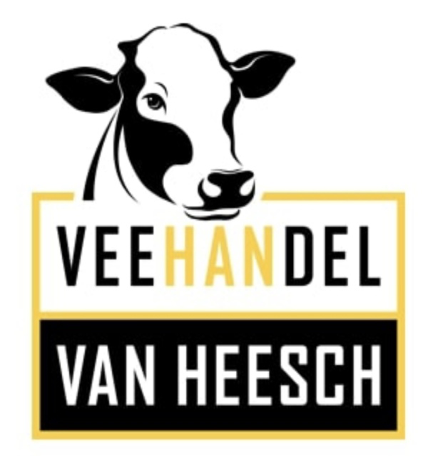 18 mooie vaarzen