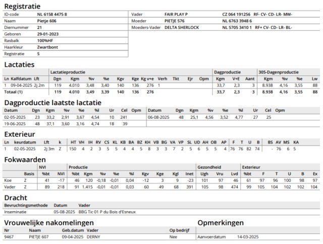 3 goede melkvaarzen 1 2de kalfs koe