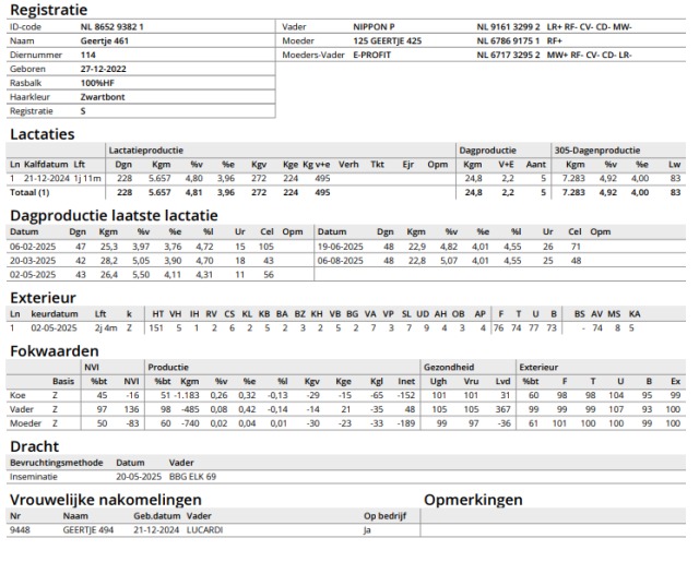 3 goede melkvaarzen 1 2de kalfs koe