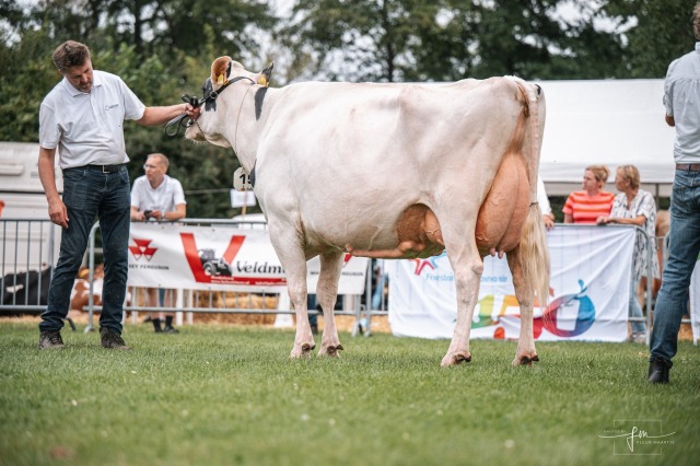 Vrouwelijke embryos