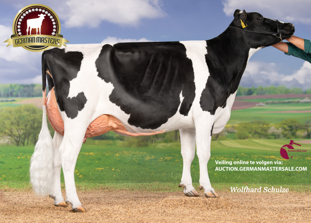 Fokveeveiling: German Masters Sale