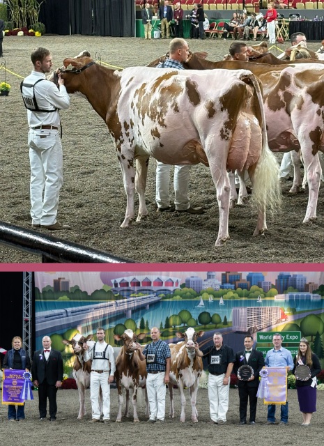 Vrouwelijke embryos