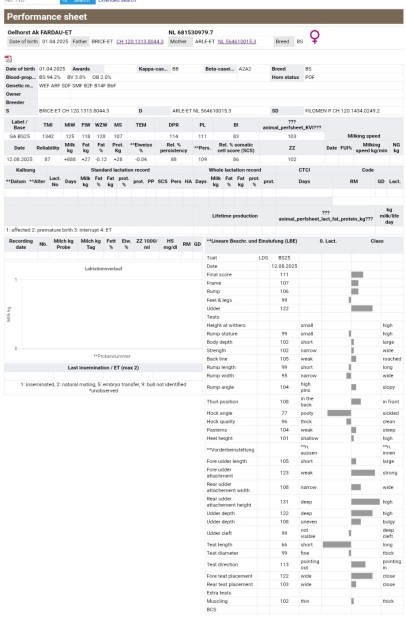 BROWN SWISS FOKKALF!