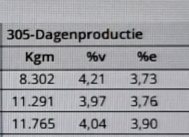 BROWN SWISS FOKKALF!