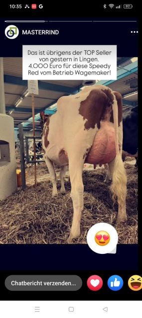 Woensdag 10-12 as. Veiling Lingen 🔥🔥