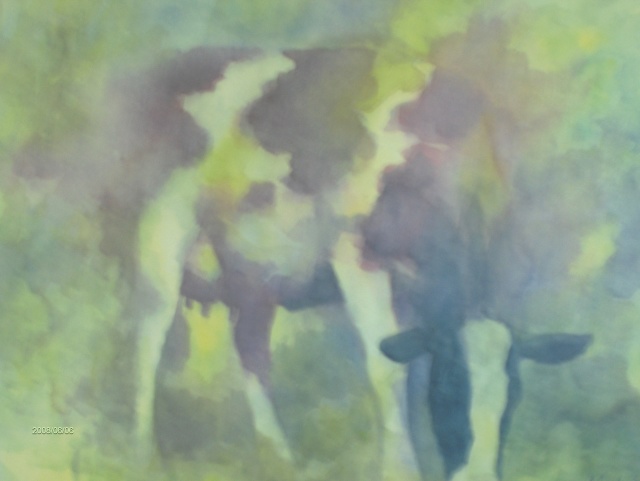 afgekalfde vaarzen en twenters