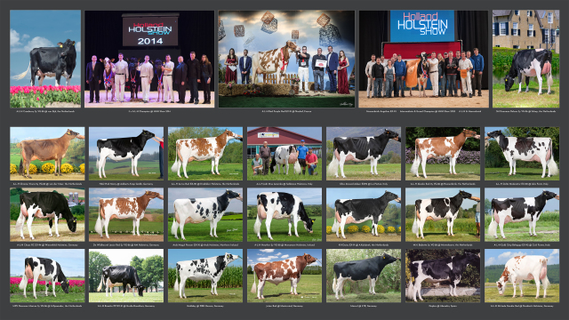 3 Beste drachtige top vaarzen !