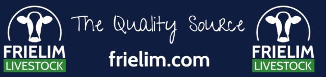 Beste afgekalfde Jersey koeien