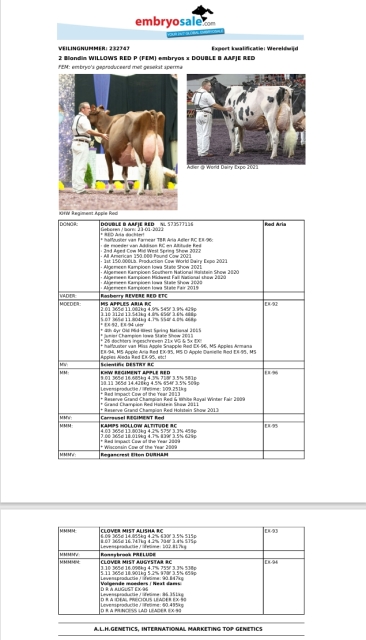 2 pinken uit goede familie te koop