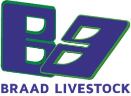 Gevraagd rode dekstier voor bij koeien