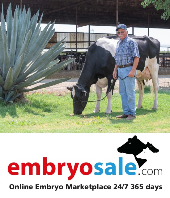 Paaseieren zoeken ....