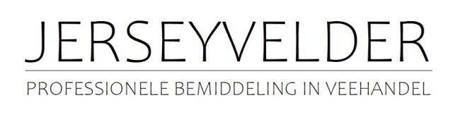 Superkwaliteit drachtige Jersey pinken