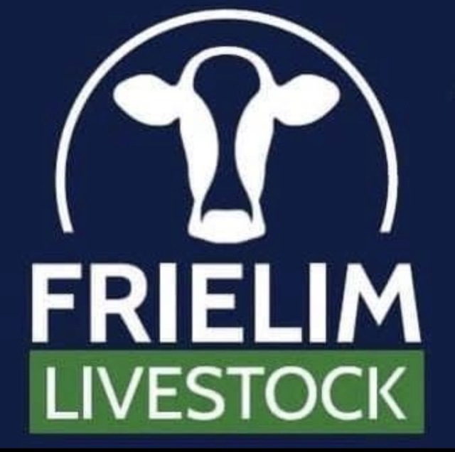 Biologische melkkoeien