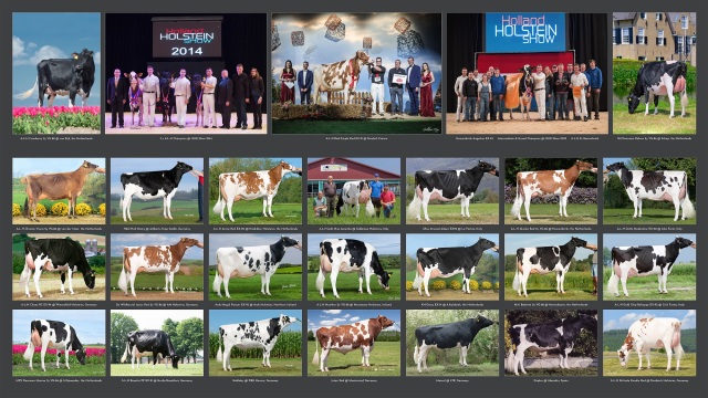 Drachtige top vaarzen !