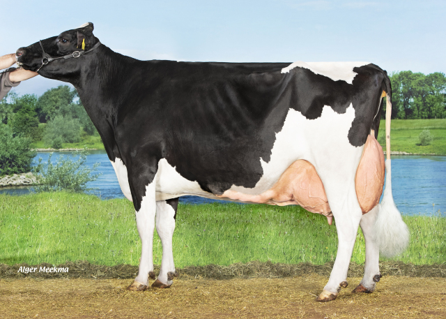 Achterkleindochter van 187.000kg!