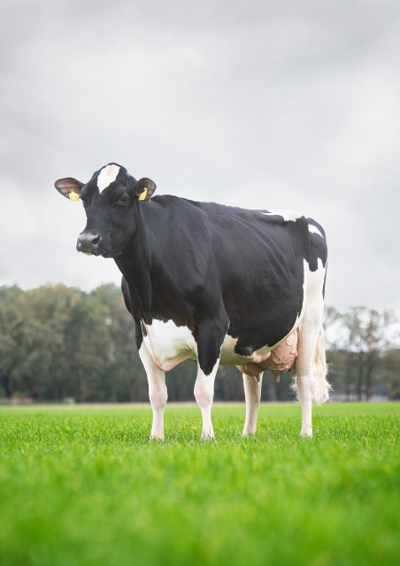 Achterkleindochter van 187.000kg!