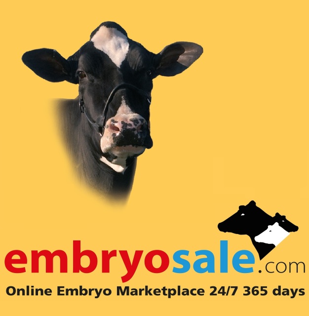 Vrouwelijke embryos