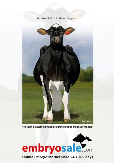 De beste melkkoeien komen via ...