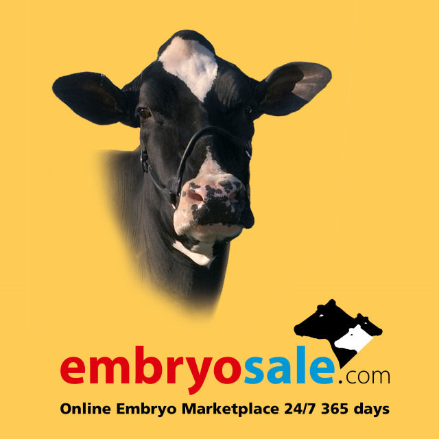 Vrouwelijke embryos
