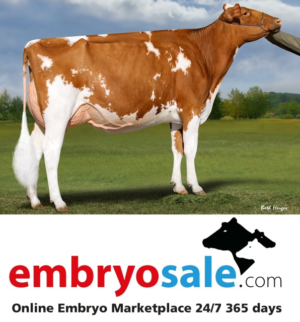 Vrouwelijke embryos