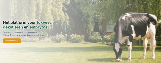 Gevraagd Dekstieren, Fokvee en embryo 's