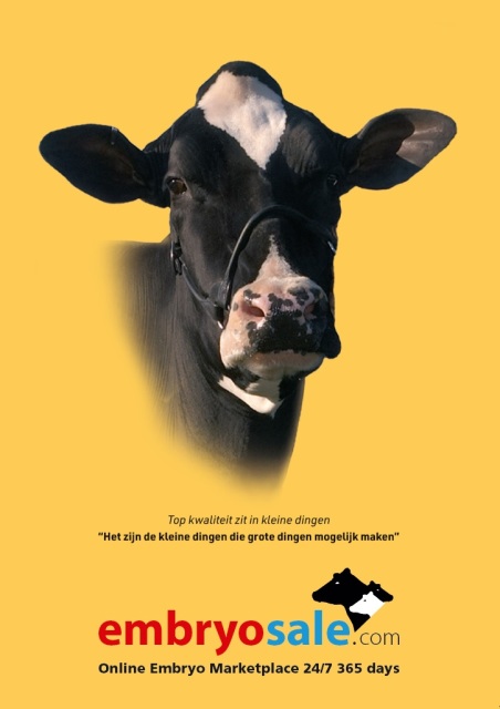 De beste melkkoeien komen via ...