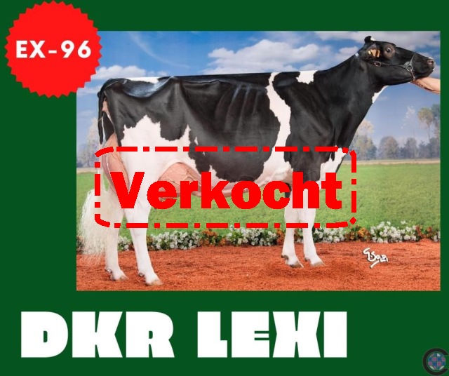 Stierkalf uit Savage-leigh Licorice EX92