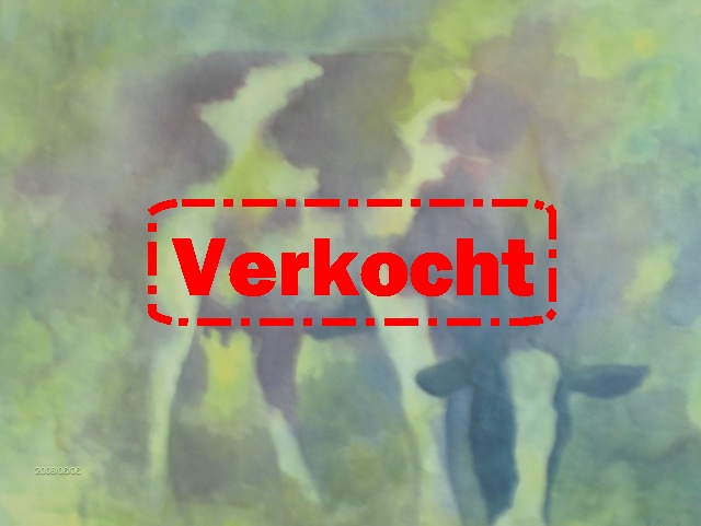 Beste lang dragende vaarzen