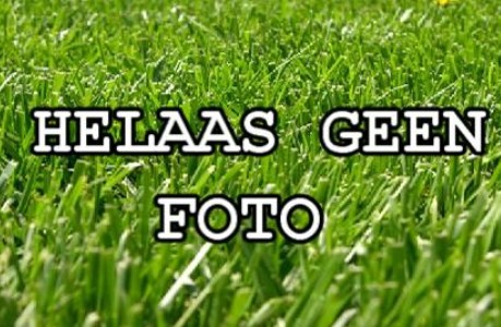 Excellente roodbonte VLOG veestapel