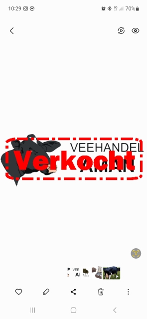 10 Lang drachtige beste vaarzen